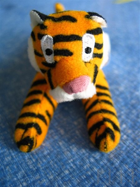 Preverite, kaj vam prinaša leto tigra! (foto: Fotografija Shutterstock)