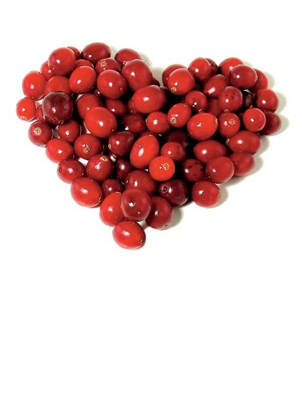 Brusnice - Rdeč gozdni zaklad (foto: Fotografija Shutterstock)