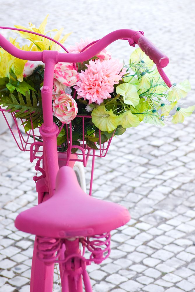 Bicikel (foto: Fotografija Shutterstock)