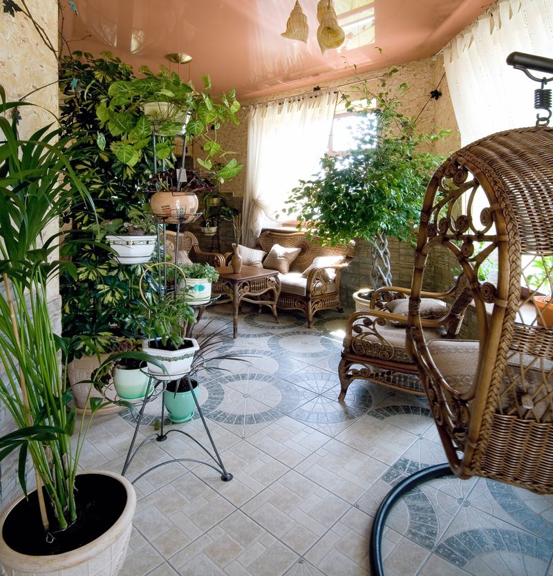 Rastline za boljše vzdušje (foto: Shutterstock)
