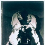 Man Ray: Markiza Casati kot Elizabeta Bavarska, 1935. (foto: promocijsko gradivo, )