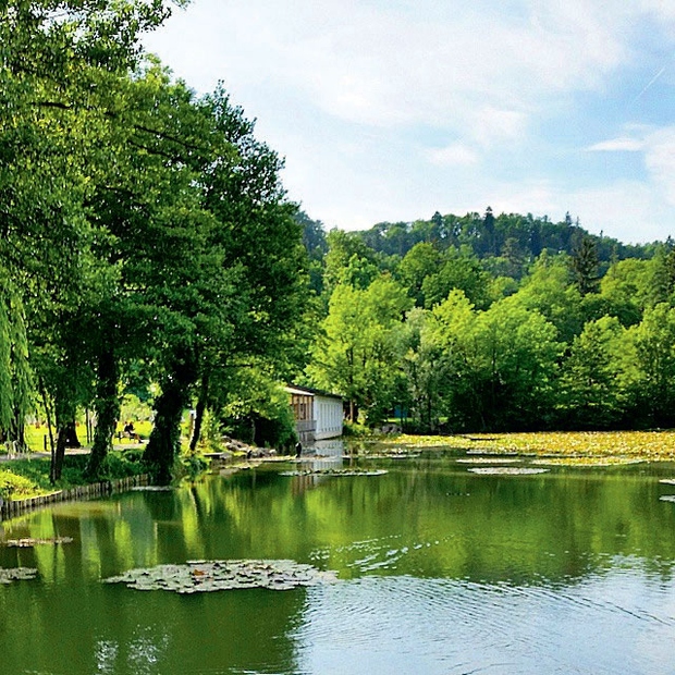 Poiščite prijeten kotiček ob reki ali jezeru in si pripravite mini piknik, za katerega potrebujete le primerno ohlajeno pijačo, osvežilno …