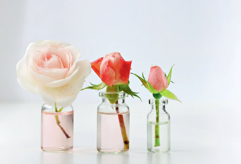 "Ena vrtnica na dan odžene leta stran." (foto: Shutterstock)