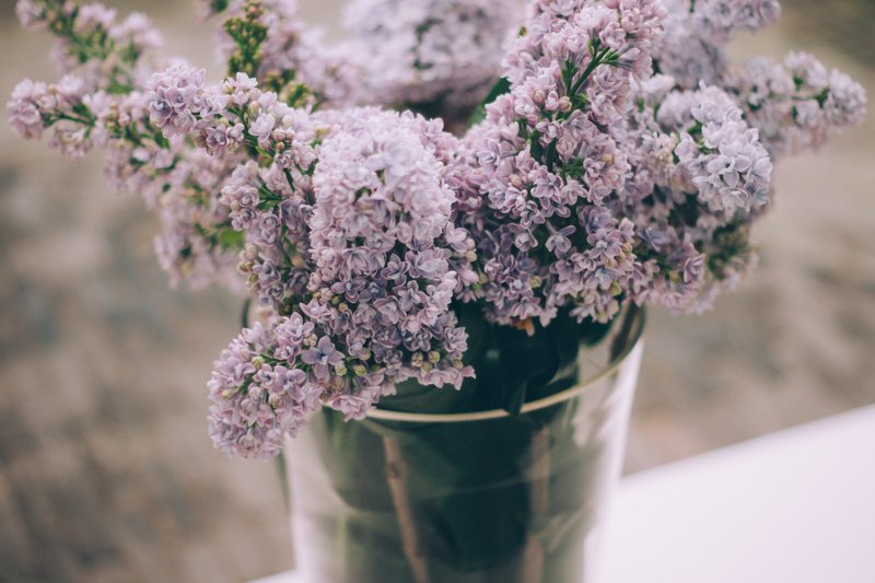 Kako rezano cvetje dalj časa ohraniti sveže? (foto: Alisa Anton / Usnplash)