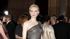 Cate Blanchett je leta 2007 na podelitev nagrade Oskarji nosila Armani Prive obleko s Swarowski dodatki. Njena vrednost je bila ocenjena na 200.000 dolarjev.