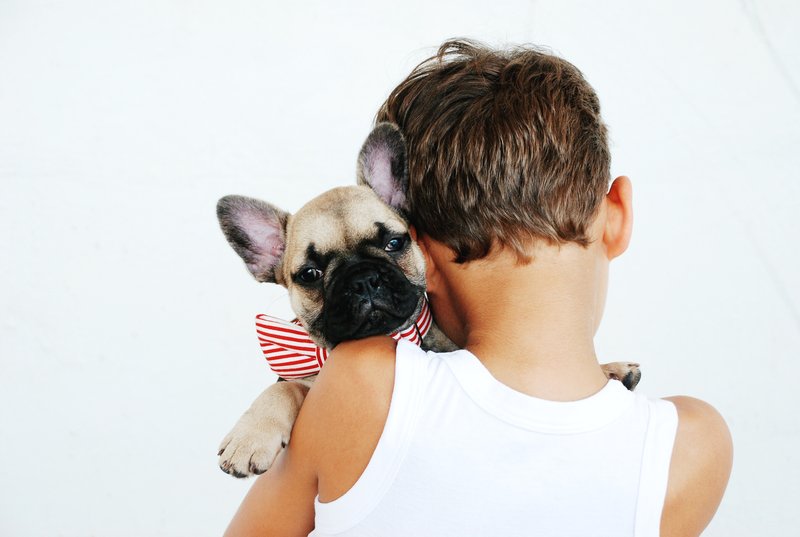 TO, da se vaš pes čudno obnaša ob bližini določeni ljudi, kaže na ... (foto: Unsplash.com / Alicia Jones)