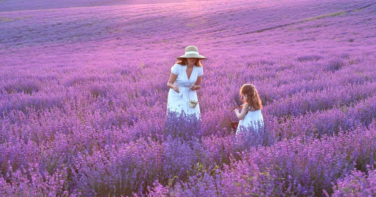Si vous rêvez de campagne française, vous allez adorer ce livre !  – Mode de vie