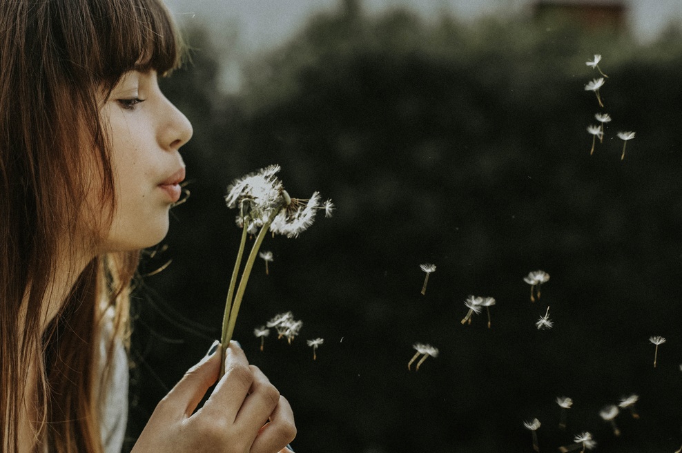 Poučna zgodba o tem, kaj povzroča jeza (foto: Unsplash.com/Nine Köpfer)