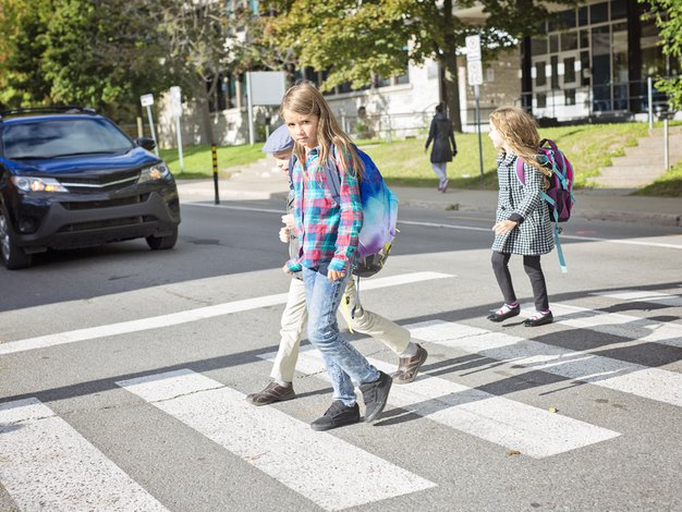 Vedno ustavite na prehodu za pešce - Foto: Shutterstock