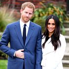 Se princ Harry in Meghan Markle zares selita v Afriko?