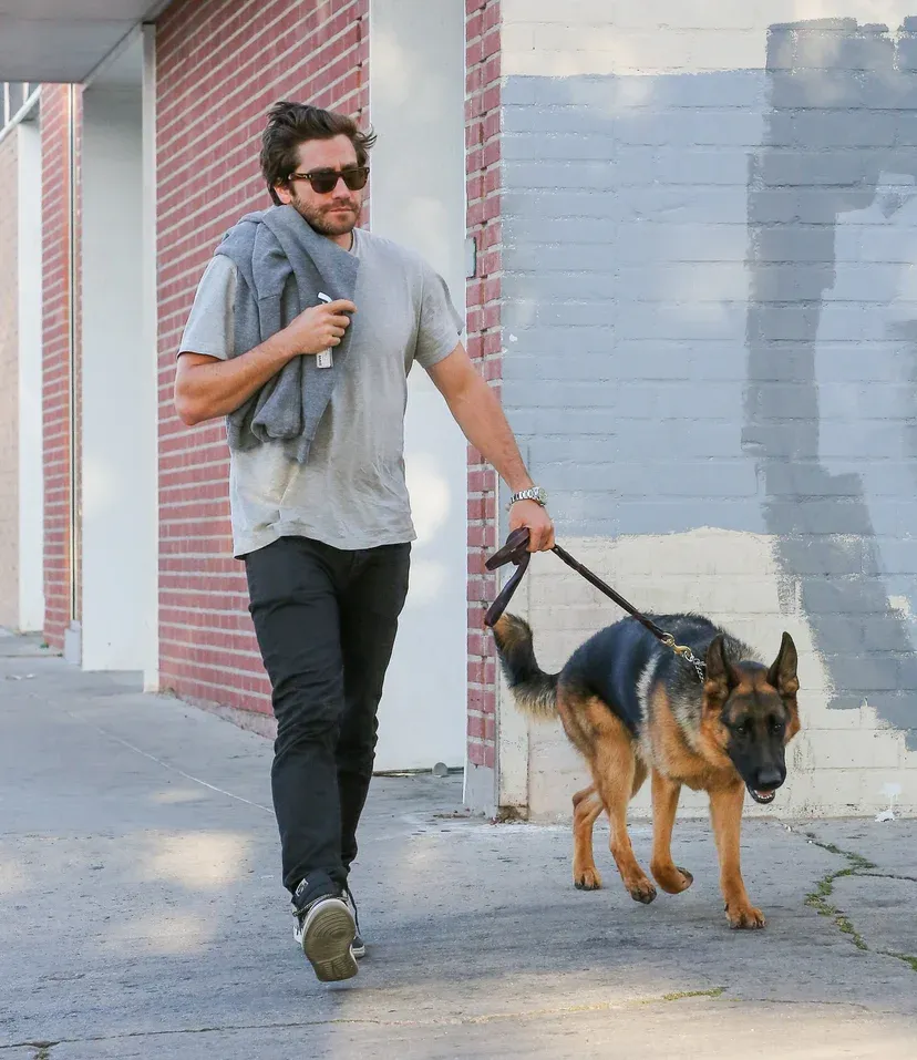 Jake Gyllenhaal