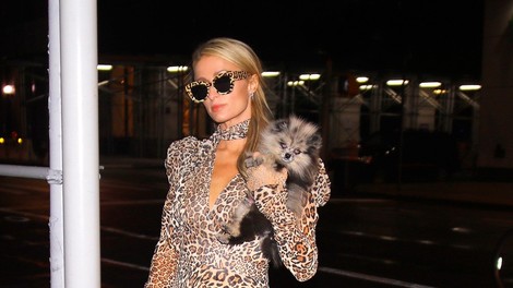 Paris Hilton nas je zopet navdušila nad leopardjim vzorcem