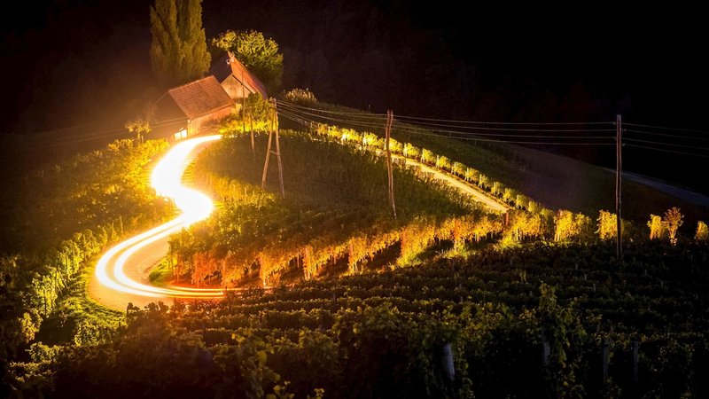 Podajte se po eni najlepših vinskih cest Slovenije (foto: Avtor: Rok Breznik)