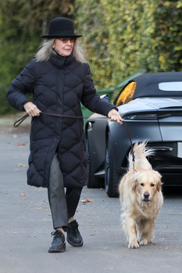 Videti je, da Diane Keaton obožuje črne prešite plašče, saj jih nosil zelo pogosto, od krajših jaken do dolgih plaščev …