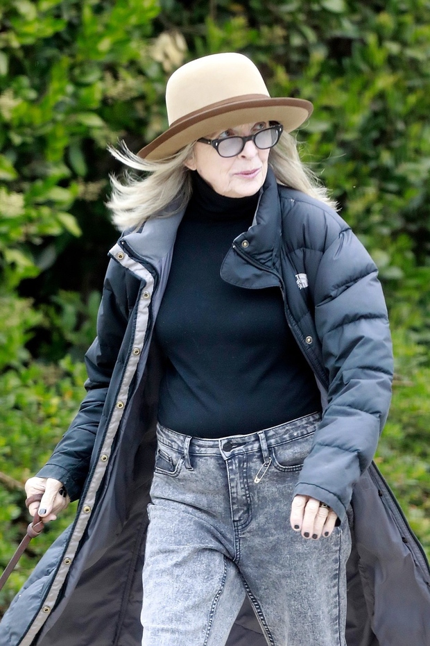 Diane Keaton je bila široko nasmejana na sprehodu s svojim psom v Los Angelesu. 76-letna z oskarjem nagrajena igralka se …