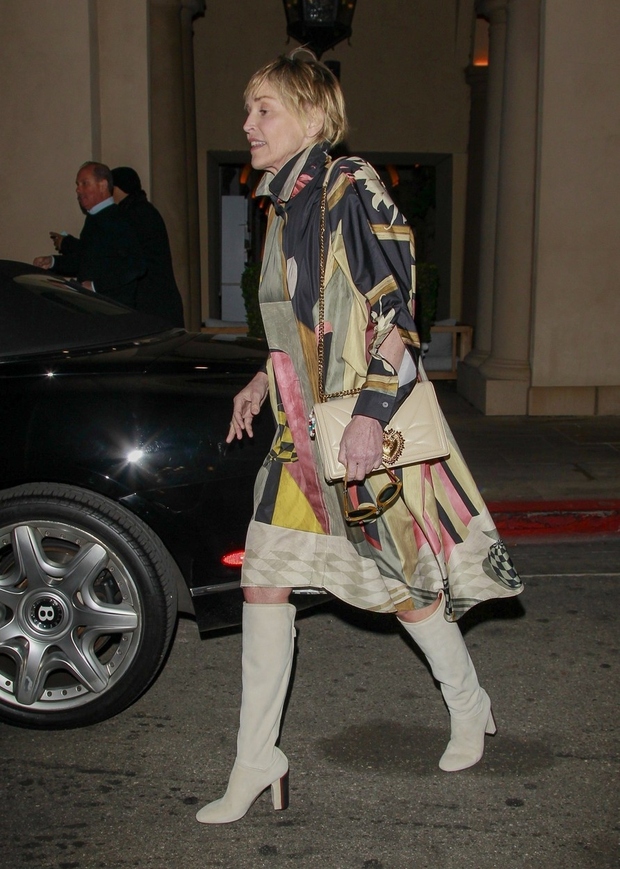 Svoj videz je zvezdnica Sharon Stone dopolnila s čudovitim bež škornji pod koleni in torbico v enaki barvi, ki je …