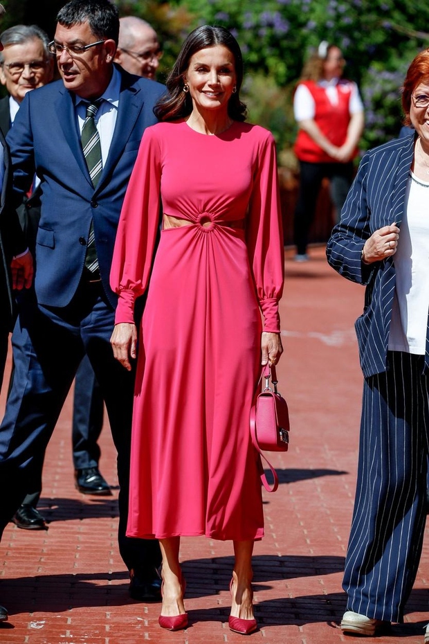 Španska kraljica, ki se je popolnoma ujela z mednarodno delegacijo, je izbrala tudi torbico in čevlje, usklajene z odtenkom fukcije …