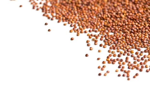 Kvinoja ni bogata le z beljakovinami, ampak tudi z vlakninami, ki pospešujejo prebavo, zato bo hitro poskrbela za občutek sitosti, …