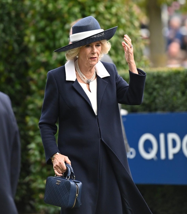 Kraljica Camilla je na dogodku nosila svojo drugo mornarsko modro obleko zapored, ki je bila sestavljena iz obleke srednje dolžine …