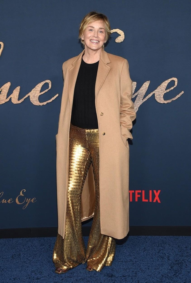 Sharon Stone je bila pred kratkim na premieri Netflixovega filma The Pale Blue Eye v gledališču Directors Guild of America …