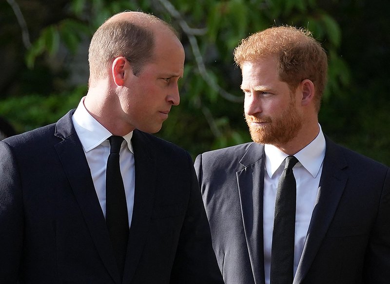 Zakaj kralj Charles ni dovolil, da princa William in  Harry govorita o princesi Diani (foto: Profimedia)