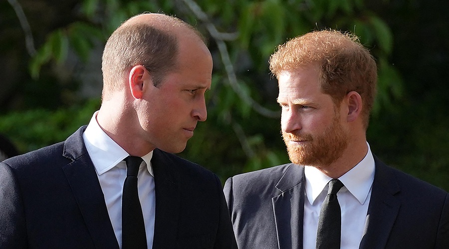 Zakaj kralj Charles ni dovolil, da princa William in  Harry govorita o princesi Diani (foto: Profimedia)