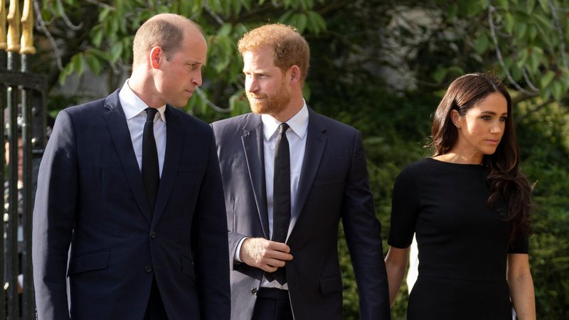 Princ William kraljevim predstavnikom medijev o obtožbah Meghan Markle in princa Harryja: "Pomembno, je damo vsem vedeti, da njune trditve ne držijo." (foto: Profimedia)