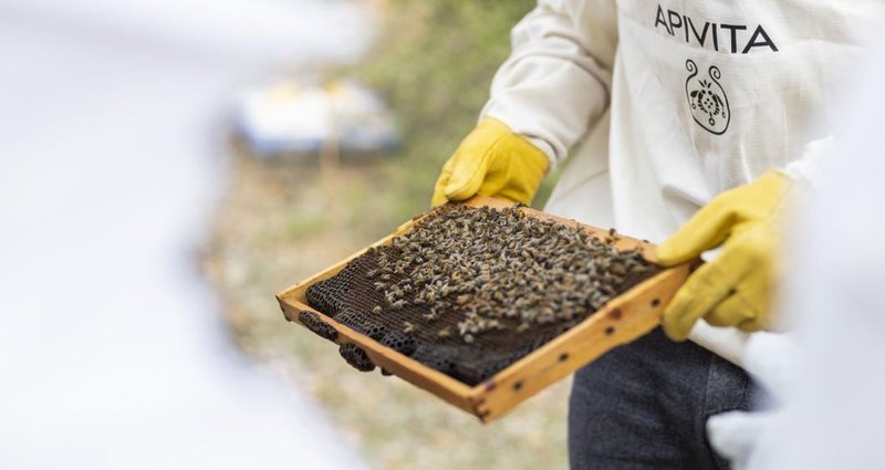 Apivita niso le izdelki, temveč skrb za življenje čebel in življenje ljudi (foto: Apivita)