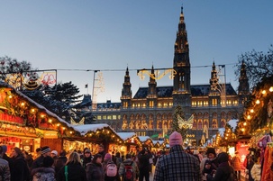 Ideja za izlet | Očarljivi Dunaj: Zimska čarobnost božičnih luči in adventnih dobrot na prazničnem oddihu