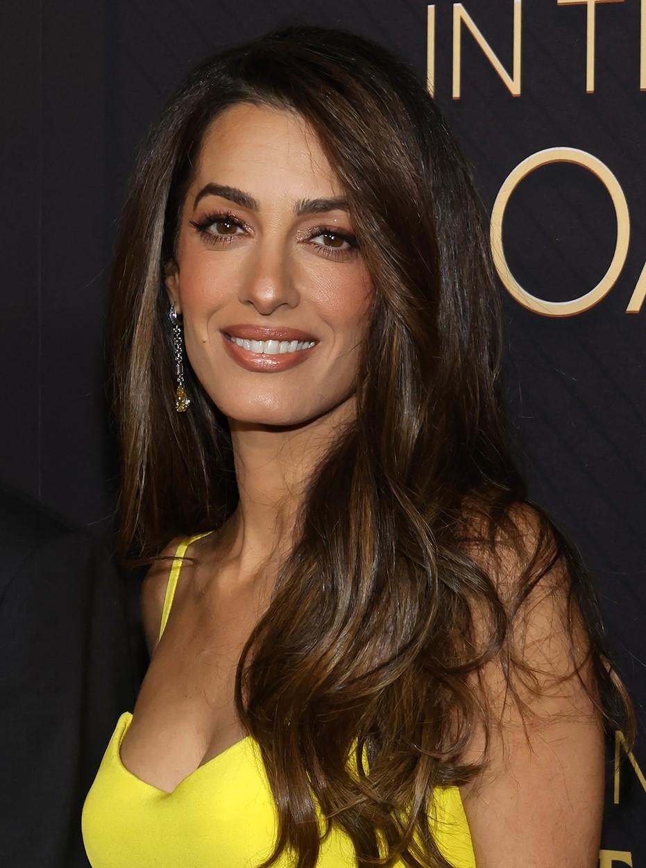 Ko gre za najbolj harmonične in elegantne pare, sta George in Amal Clooney zagotovo eden izmed njih. Igralec in odvetnica …