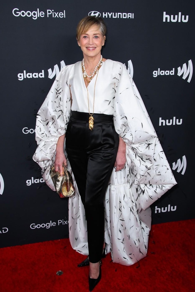 Sharon Stone je svoj glamurozni stajling za 35. podelitev medijskih nagrad GLADD dopolnila s črnimi koničastimi petami, kovinsko zlato clutch …
