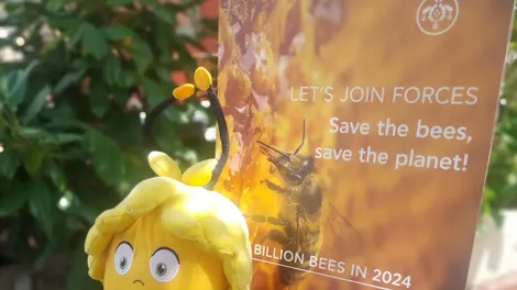 APIVITA praznuje svetovni dan čebel 2024 s PROGRAMOM BILLION BEES