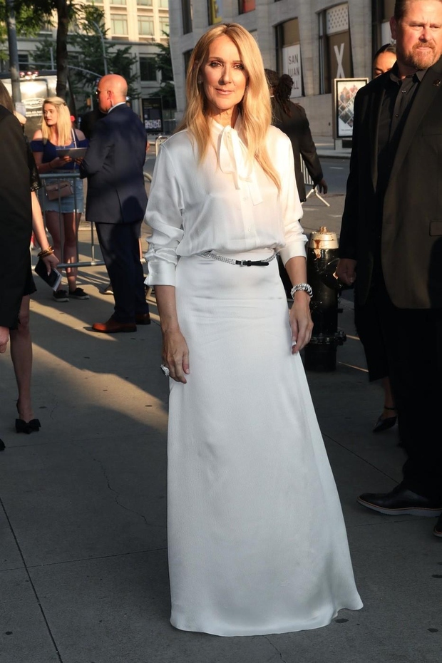 Na premieri filma I Am: Celine Dion v dvorani Alice Tully v Lincolnovem centru v New Yorku se je umetnica …