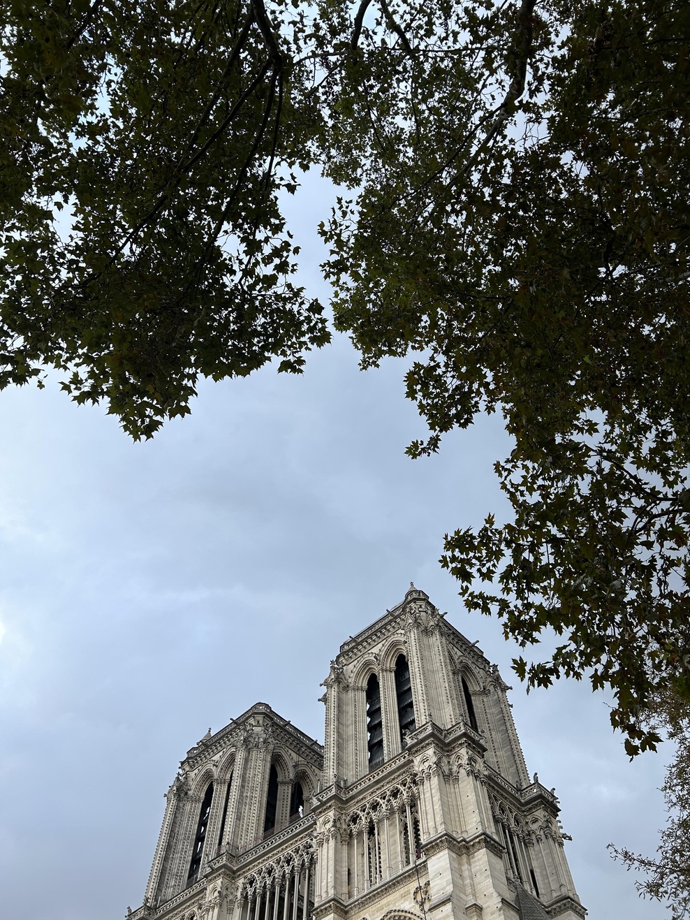 Notre-Dame odpira svoja vrata, napovedujejo, da bo katedralo v letu dni obiskalo 15 milijonov ljudi (foto: osebni arhiv)