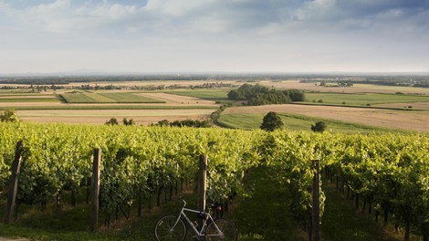 Kaj pravite na maksimalno sproščen oddih, ki vključuje domače dobrote, čokolado in odlično vino? Našle smo popolno destinacijo!