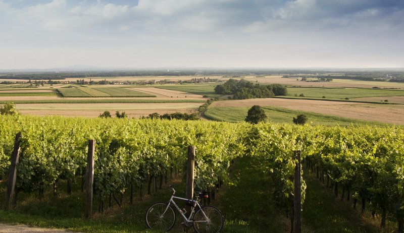 Kaj pravite na maksimalno sproščen oddih, ki vključuje domače dobrote, čokolado in odlično vino? Našle smo popolno destinacijo! (foto: Passero)