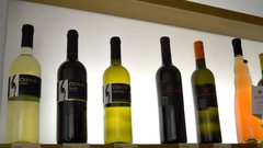 Vipava vino vinoteka