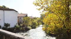 Vipava