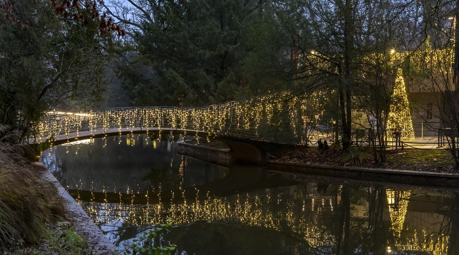 Eden najlepših adventov v Evropi je od naše prestolnice oddaljen samo uro in pol vožnje. Letos vas pričakuje tudi z baletom na ledu (foto: TZGZ, M. Tomaš.)