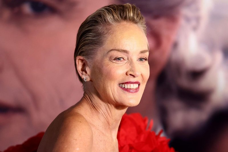 Izgleda senzacionalno! Obleka Sharon Stone je bila ustvarjena za dive
