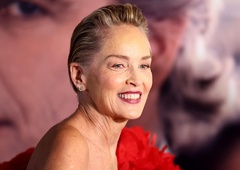 Izgleda senzacionalno! Obleka Sharon Stone je bila ustvarjena za dive