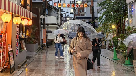 japonska nara potovanje