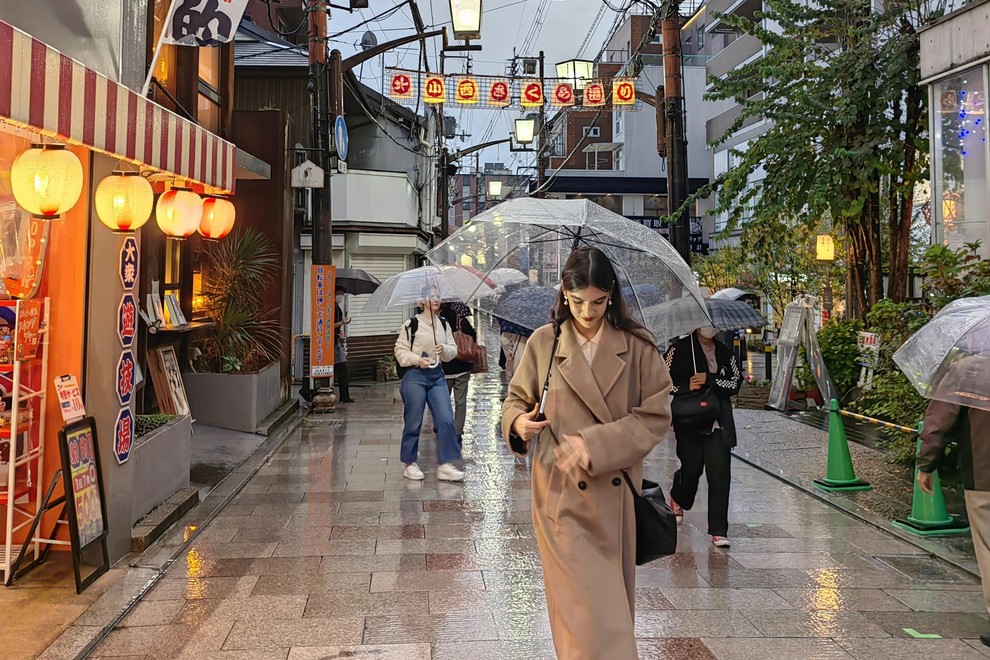 japonska nara potovanje