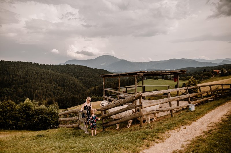 Ideja za izlet: obiščite to vse bolj priljubljeno lokacijo, ki navdušuje ljubitelje narave in živali