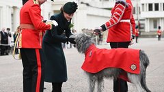 princesa Catherine Kate Middleton dan svetega Patrika