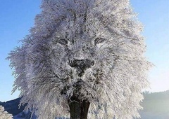 Kaj zagledate najprej? Optična iluzija razkrije podrobnosti o vaši osebnosti