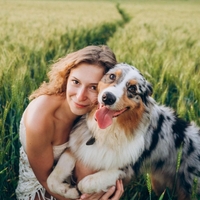 Kaj pomeni, če vas pes liže? To niso poljubi, temveč posebna komunikacija