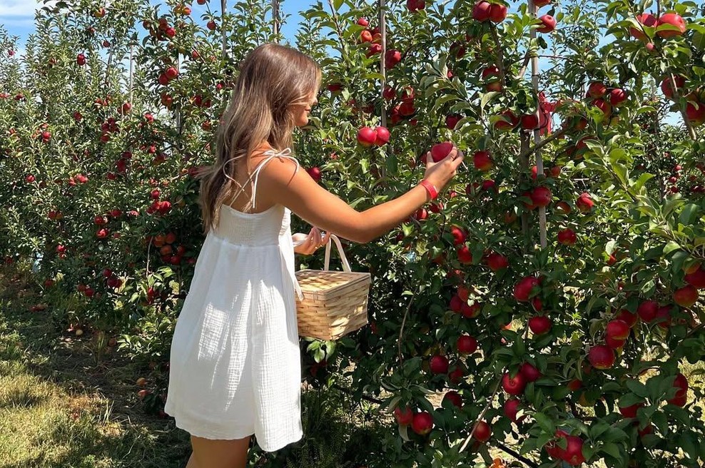 Kako prepoznati jabolko, ki je bilo obdelano s pesticidi? Sadež prerežite na pol in takoj boste dobili odgovor (foto: Instagram/@alexisanthonyyy)