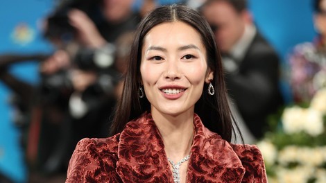 Liu Wen