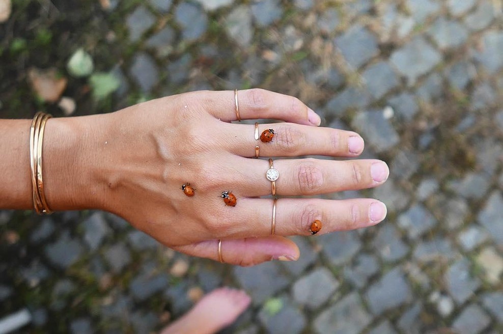 Kaj pomeni, če vidite pikapolonico? (prinaša nekaj drugega kot srečo) (foto: Instagram/@carolinehjerpejewelry)